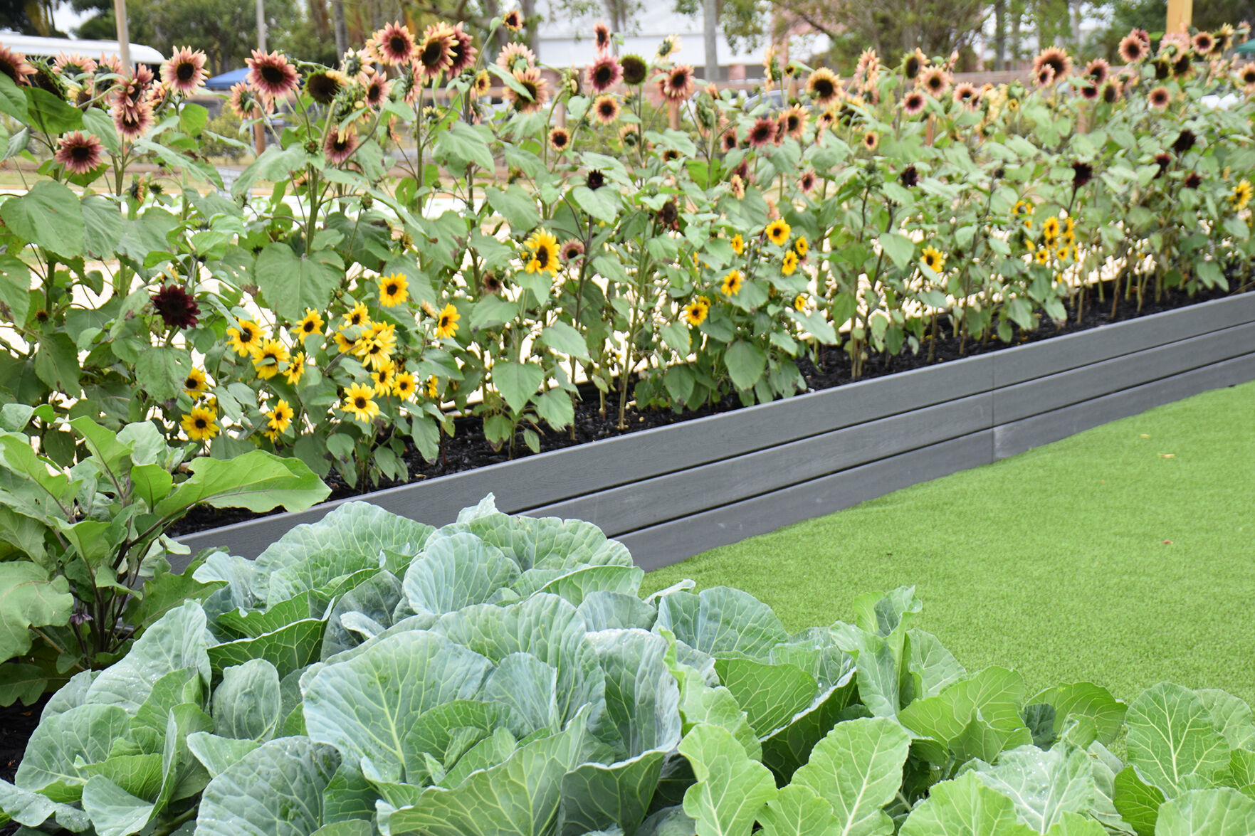 Raised beds with flowers and vegetables, and rows of of produce.